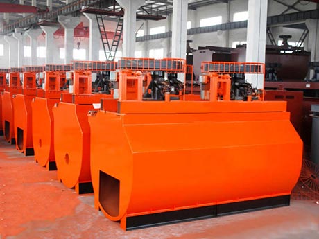 ������ѡ��