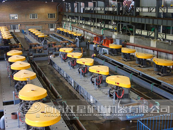 ѡ������