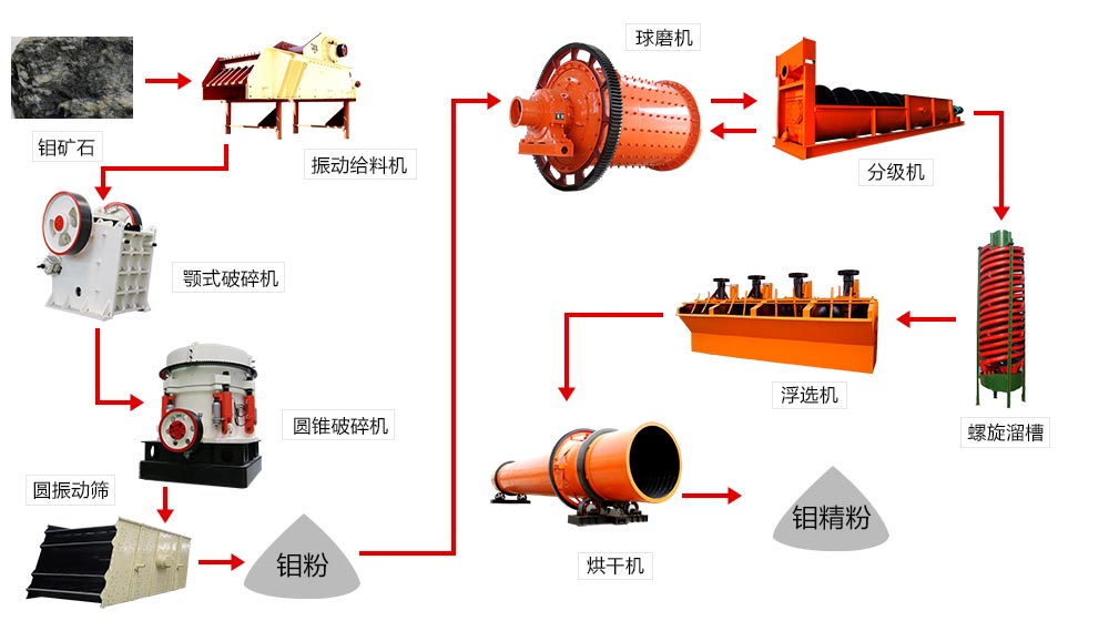 ��ѡ�Ĺ���