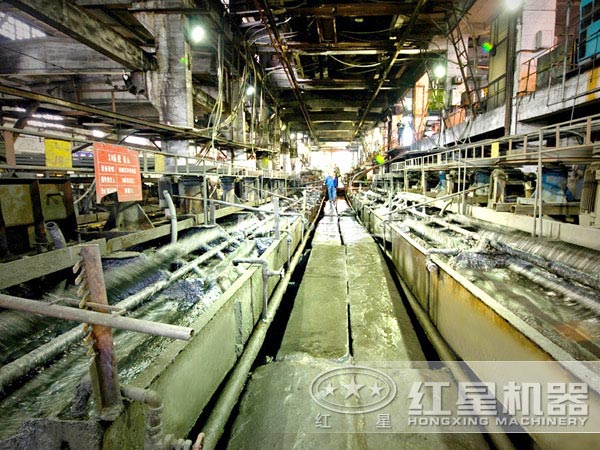 ѡ����������