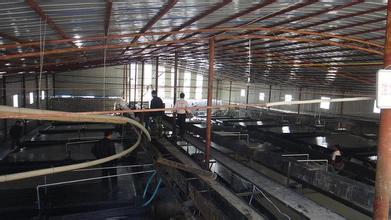 ��ѡ����