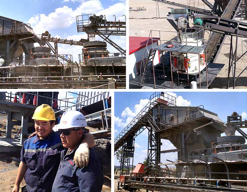 900����Բ׶�������ҵ�ֳ�