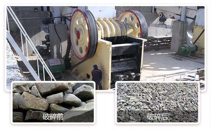 ��ʽ������ֳ�