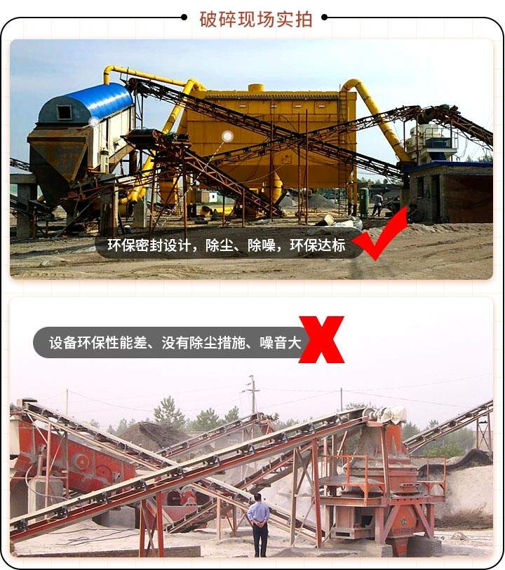 ���������ֳ��Ա�